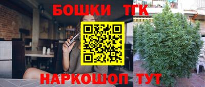 МДПВ Сланцы