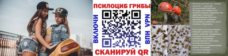 Псилоцибиновые грибы GOLDEN TEACHER Советская Гавань