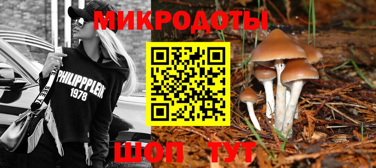 Галлюциногенные грибы Psilocybine cubensis Советская Гавань