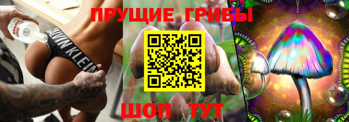 Галлюциногенные грибы Magic Shrooms  Вход с VPN  где найти   Советская Гавань 